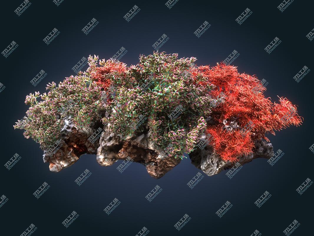 images/goods_img/202104021/3D Coral reef ecosystem Animated Pack 2/3.jpg